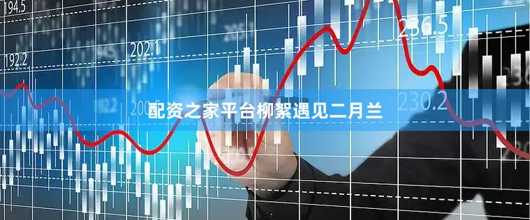 配资之家平台柳絮遇见二月兰