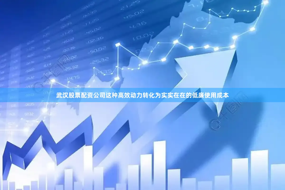 武汉股票配资公司这种高效动力转化为实实在在的低廉使用成本